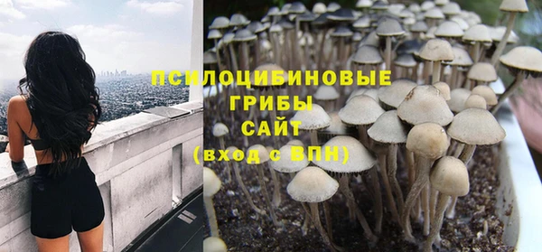 jwh Алзамай