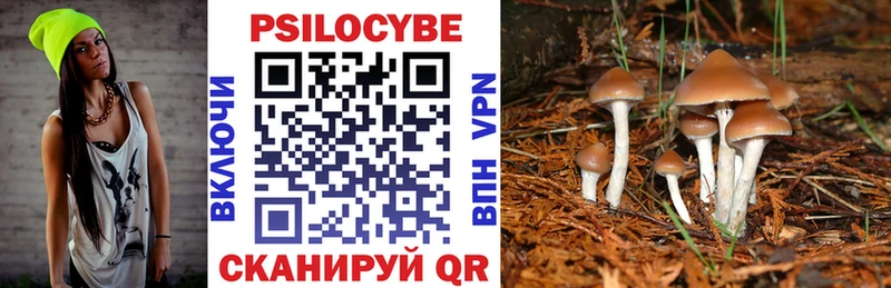 что такое наркотик  Жигулёвск  Псилоцибиновые грибы прущие грибы 